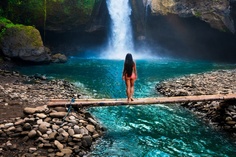 Bali: Ubud (Temple, Spring, Rice Terraces, & Waterfall) Private (Basic Package)