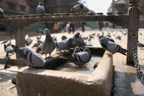 Kathmandu 2 Days 7 Unesco And Chandragiri with Nagarot Stay