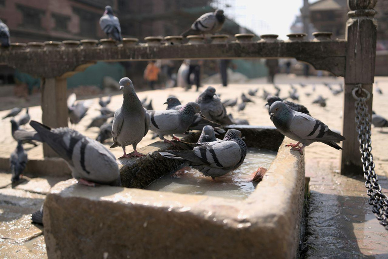 Kathmandu 2 Days 7 Unesco And Chandragiri with Nagarot Stay