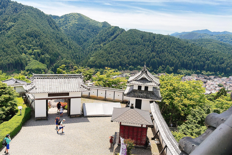 Gujo Hachiman Day Trip: Mountain Castle & Traditional Town The popular Gujyo town tour