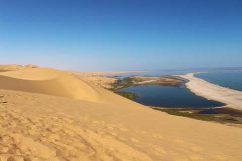 Sandwich Harbor: 4x4 Tour Where the See and Dunes Meet