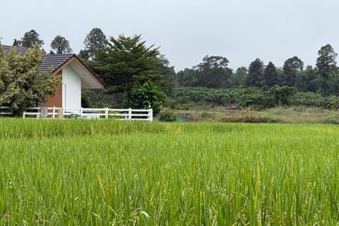 Chiang Mai: Sticky Waterfalls, Cave, and Lunch at Village Join-in With Lunch