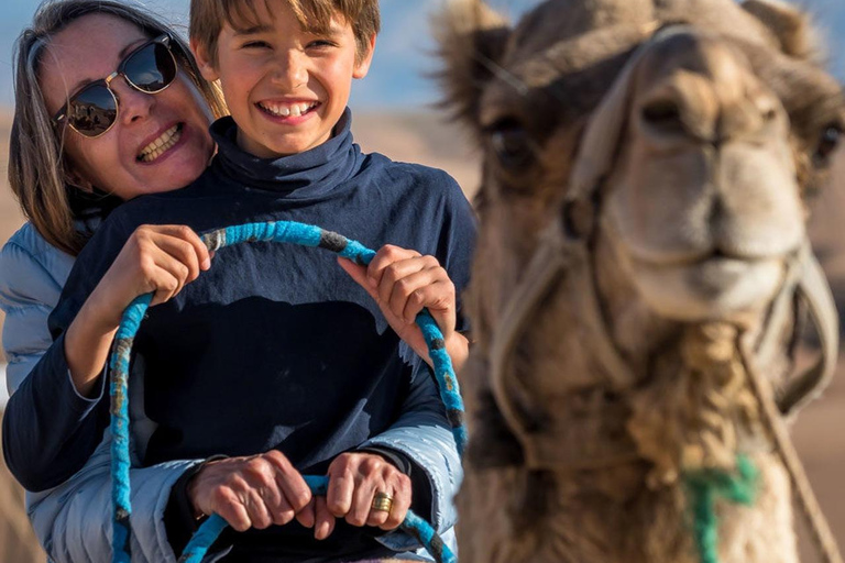 Marrakech: Agafay Desert Quad Bike, Camel Ride, Pool & Lunch Desert Agafay : Quad Biking, Camel Ride, Lunch & Pool