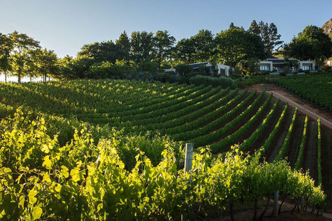 Cape Wineland 3 Award Winning Vineyards