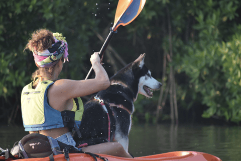 Veracruz, Kayak or Paddle equipment rentals in Mandinga Kayak or Paddle equipment rental in Mandinga