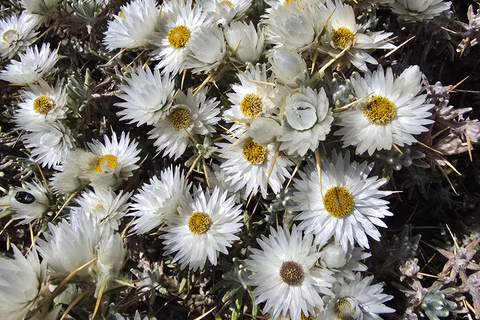 Äthiopien: 29-tägige Tour durch den Norden, Osten und Süden