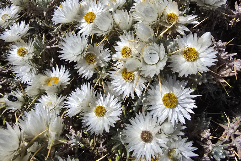 Äthiopien: 29-tägige Tour durch den Norden, Osten und Süden