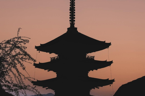 Osaka/Kyoto; Kyoto and Nara customizable Day Tour with Guide