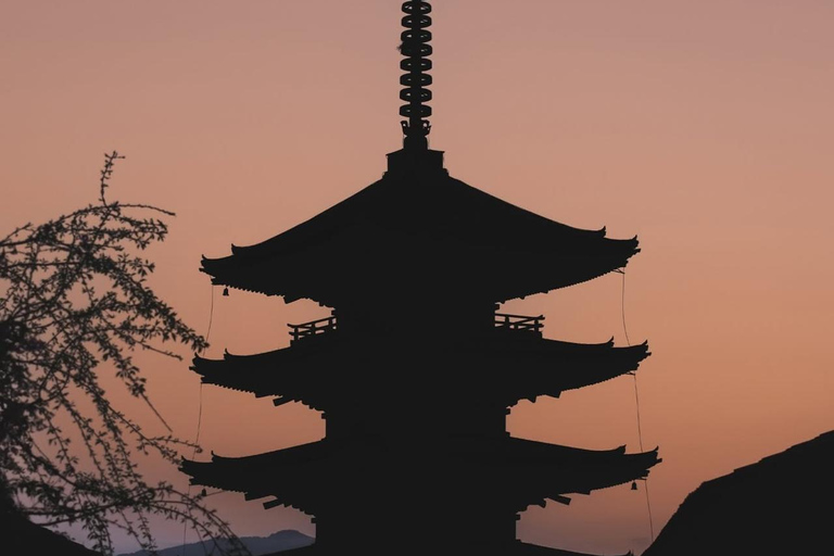 Osaka/Kyoto; Kyoto and Nara customizable Day Tour with Guide