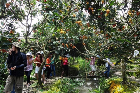 FROM HO CHI MINH: CU CHI TUNNELS AND MEKONG DELTA FULL DAY