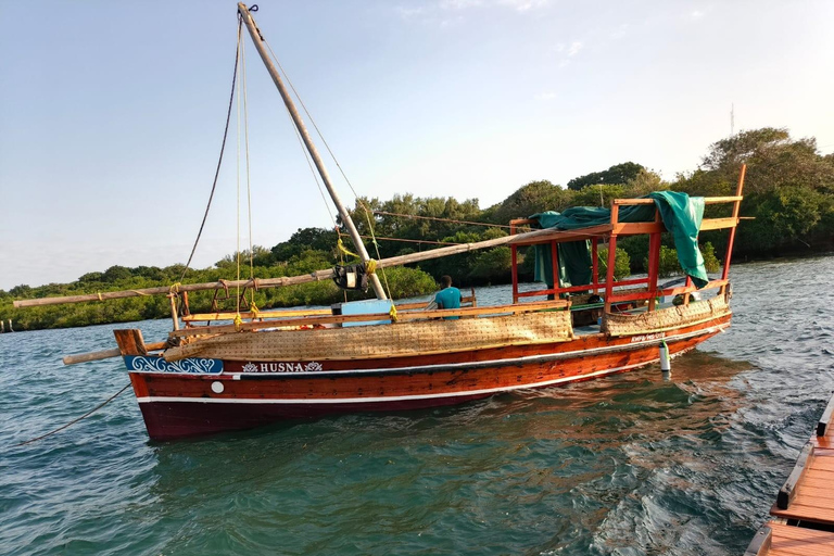 From Diani: Kenya's Ultimate Dolphin & Snorkeling Day Trip
