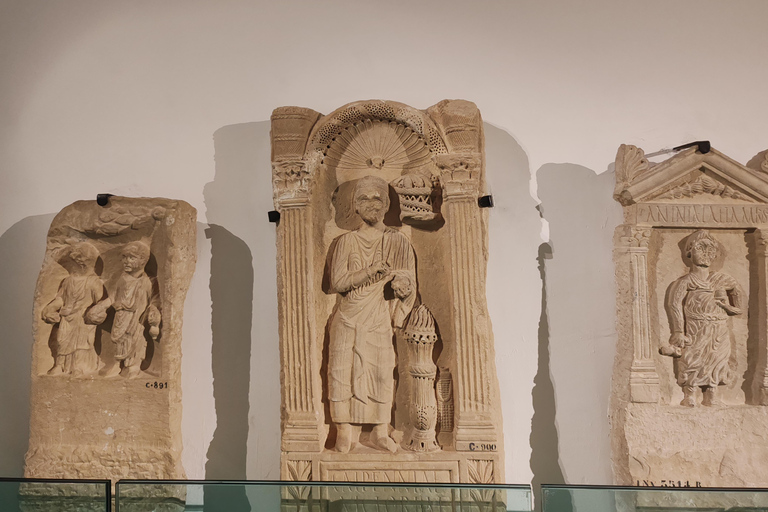 Tunis: Bardo Museum and Medina Guided Tour