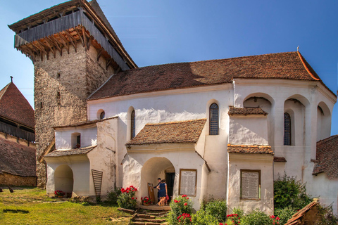 Brasov: Sighisoara & Viscri Village Private Tour