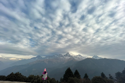 Från Pokhara: 4-dagars Poon Hill Trek med transfer