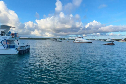 Santa Cruz: Ferry ticket to Isabela Island