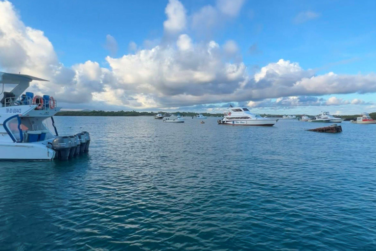 Santa Cruz: Ferry ticket to Isabela Island