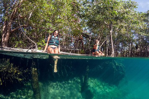 Holbox: Yalahau, Ilha da Paixão e passeio de barco em Punta MosquitoExcursão particular