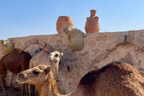 Excursión de medio día en Yerba con puesta de sol en Sidi jmour