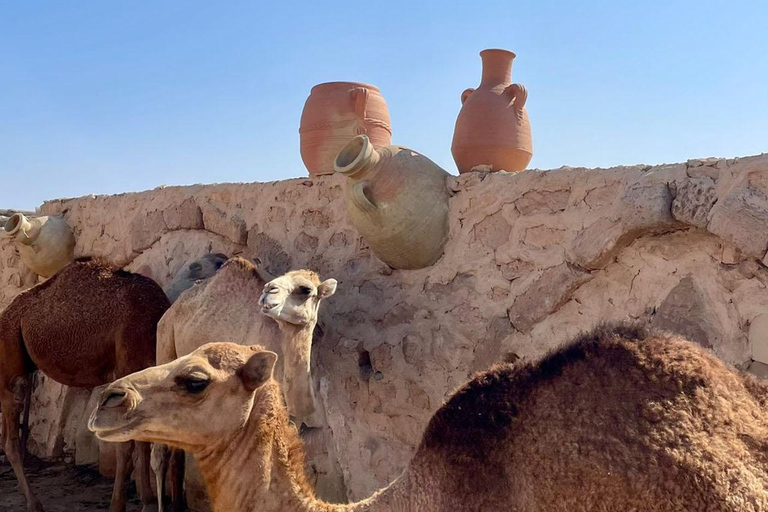 Excursión de medio día en Yerba con puesta de sol en Sidi jmour