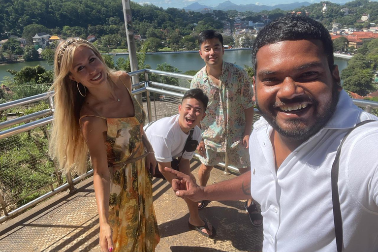 Kandy Day tour With Tea Factory from Colombo