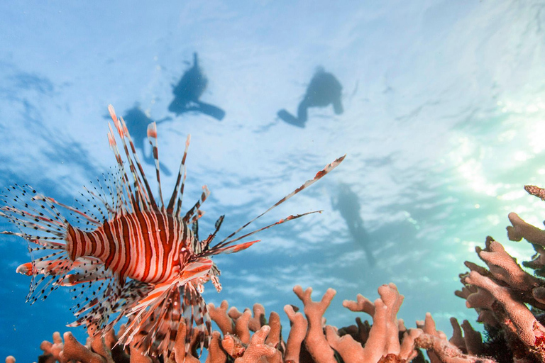 3 night/4 day Fiji Islands Adventure, Culture & Snorkeling Dorm Accommodation