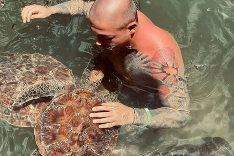 Zanzibar: Swim with Sea Turtles at Nungwi Lagoon Hotel Transfer Within Northern Zanzibar