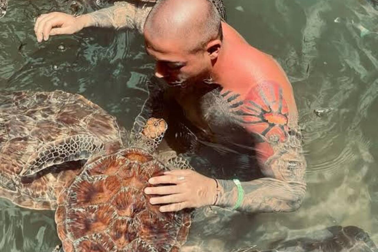Zanzibar: Swim with Sea Turtles at Nungwi Lagoon Hotel Transfer Within Northern Zanzibar