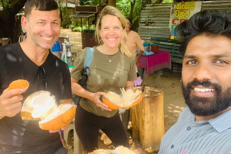 Ella to Negombo: Scenic Journey with Waterfall & Tea Stop