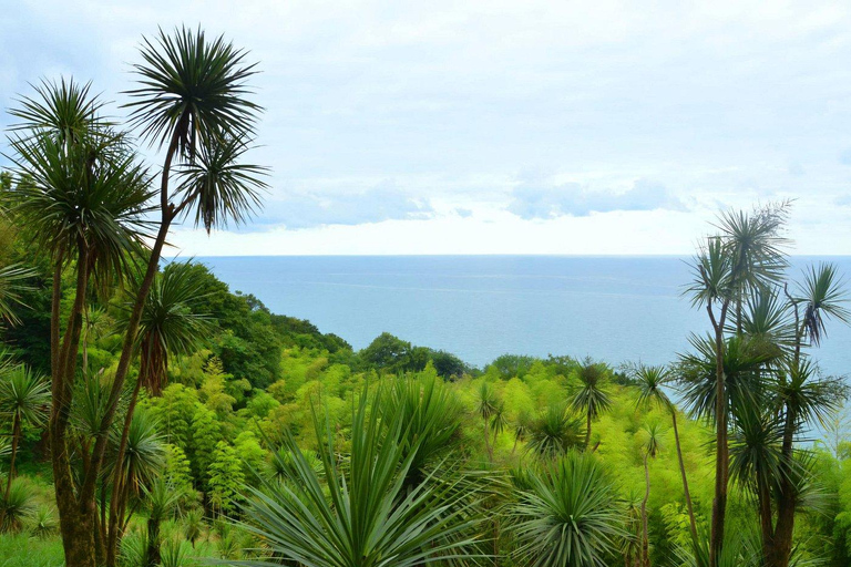 Private Tour from Kutaisi to Batumi Black Sea Las Vegas