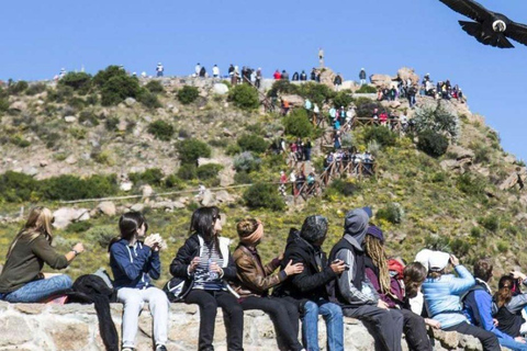 Arequipa: Tour de día completo al Cañón del Colca con traslado a Puno