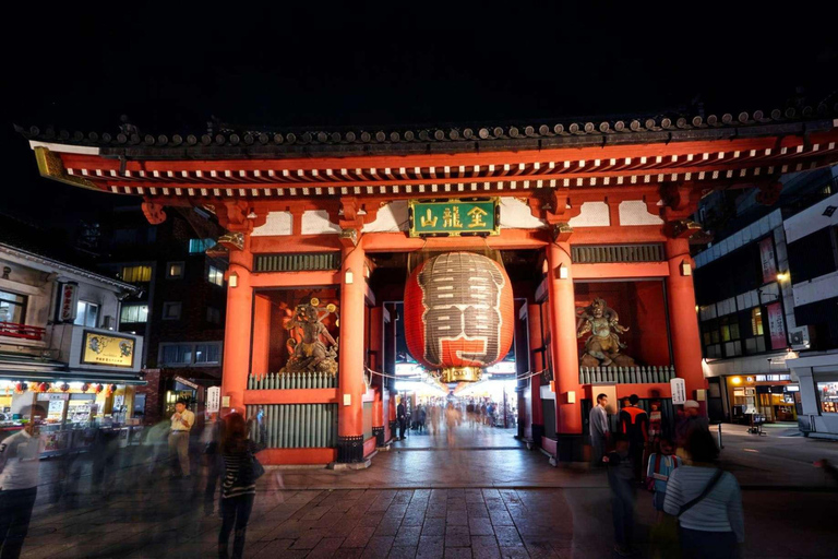 Tokyo: Private Customizable Tour with Driver-Guide