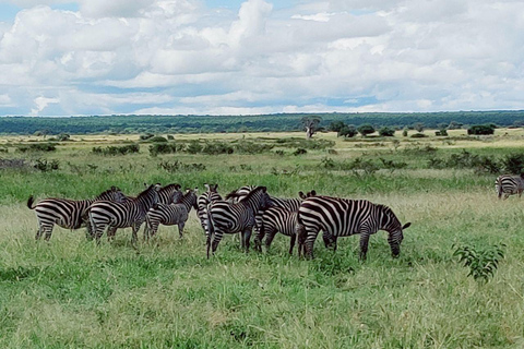 2-Days Lake manyara and Tarangire National Parks