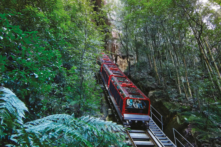 蓝山之旅：风景世界、翎羽谷（最多10人）蓝山之旅：风景世界、翎羽谷（含接送）
