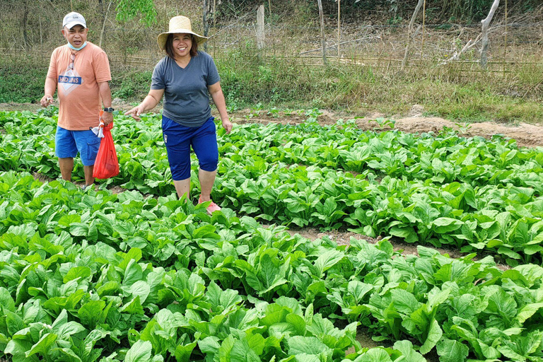 Coron: Farm Day Tour with Lunch and Hotel transfer