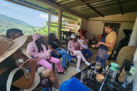 Minca Coffee Farm Tour with Coffee Tasting & Lunch La Candelaria Coffee Farm Tour with Coffee Tasting & Lunch