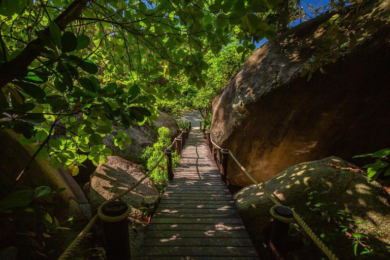 Depuis Khao Lak : Excursion d&#039;une journée aux îles Similan avec plongée en apnéeKhao Lak : Excursion d&#039;une journée aux îles Similan avec plongée en apnée le matin