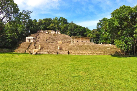 Au départ de Tuxtla Gutierrez : circuit de 4 jours à Palenque et au ChiapasDepuis Tuxtla Gutierrez : circuit de 4 jours à Palenque et au Chiapas