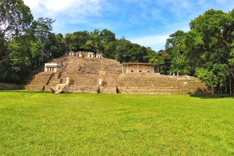 Au départ de Tuxtla Gutierrez : circuit de 4 jours à Palenque et au ChiapasDepuis Tuxtla Gutierrez : circuit de 4 jours à Palenque et au Chiapas