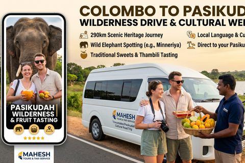 Colombo to Pasikuda: Wilderness Drive & Fruit Tasting Colombo to Pasikuda | KDH Flat Roof Van