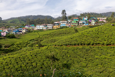 Höjdpunkter i Kerala Tour från Kochi