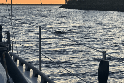 马里纳德尔雷：1小时游船之旅玛丽娜德尔雷：1小时游船之旅