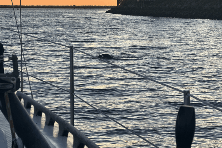 马里纳德尔雷：1小时游船之旅玛丽娜德尔雷：1小时游船之旅