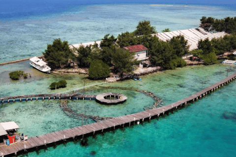 Dżakarta: prywatny rejs jachtem po 4 wyspach z nurkowaniem z rurką8-godzinna prywatna wycieczka jachtem (do 12 osób)