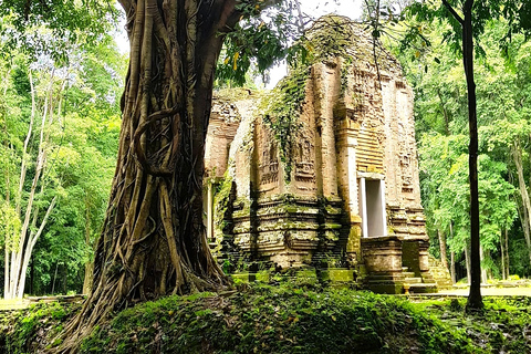 From Siem Reap: Sambor Prei Kuk and Kompong Kdei Day Trip