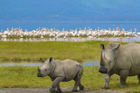 Nairobi: Lake Nakuru National Park Day Trip Safari