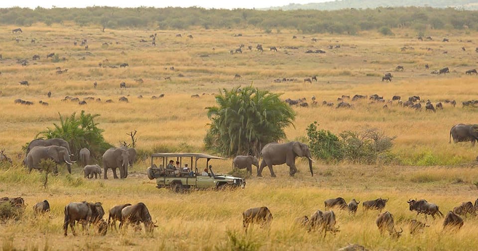 safari tanzania 7 giorni