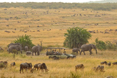 3 giorni di campeggio di gruppo nel Masai Mara con partenze giornaliere