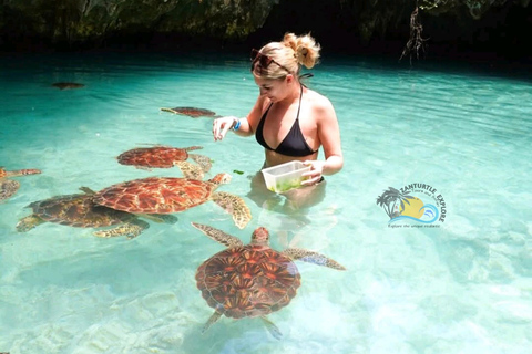 Zanzibar : culture masaï, forêt de Jozani et tortues de la grotte de Salaam