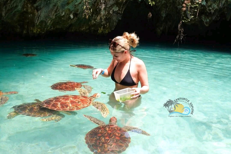 زنجبار: ثقافة الماساي وغابة جوزاني وسلاحف كهف السلام