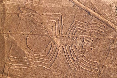 Nazca: Sobrevuelo de las Líneas de NazcaSobrevuelo de las Líneas de Nazca - 30 minutos